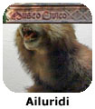 Ailuridi